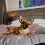 Paris Отель 4*